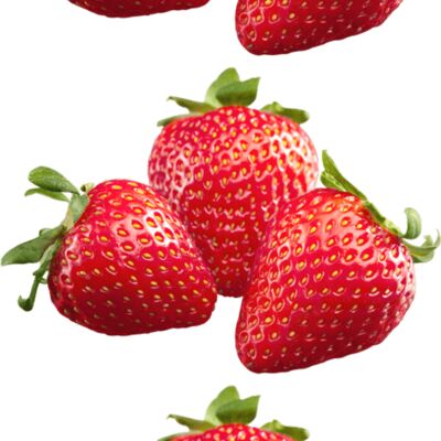 Mother's Day Thumbnail